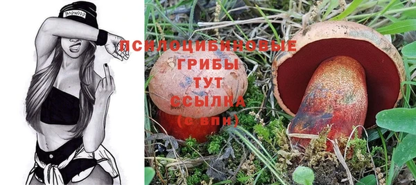 амф Ладушкин
