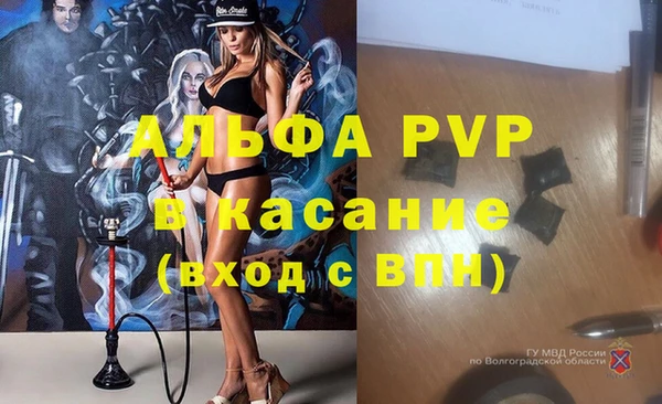 амф Ладушкин